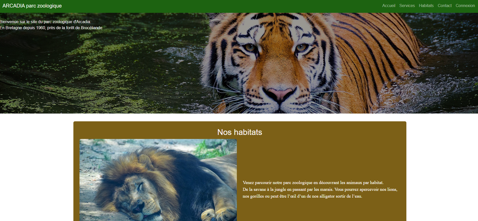 Personal Portfolio Images